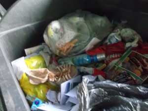 Müll0615 (360).JPG (434.02 KiB) 9880 mal betrachtet Wo ist der andere Schuh in dem vielen Dreck zu finden?!