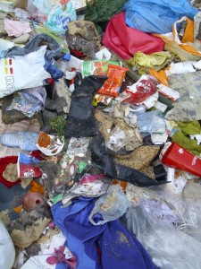 Janine08 027.jpg (429.85 KiB) 28842 mal betrachtet So schnell kann's gehen!