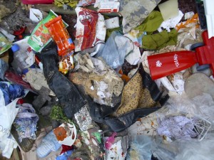 Janine08 030.jpg (428.09 KiB) 28450 mal betrachtet Nur noch zermatschter Ekelmüll!