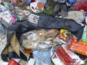 Janine08 033.jpg (447.87 KiB) 29510 mal betrachtet Da bisher nur einmal ein Müllverdichter drübergewalzt war, war das Stiefelpaar noch zusammen.