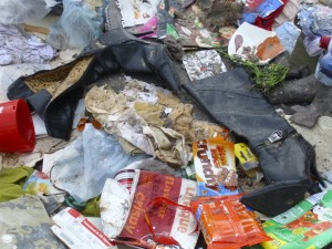 Janine08 038.jpg (406.93 KiB) 29012 mal betrachtet Da es am Tage zuvor geregnet hatte, war der Müll drunter noch feucht und so roch es auch! Alles klebte.