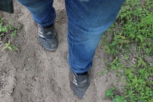 IMG_3865.JPG