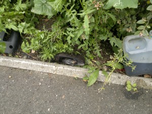 190620125983.jpg