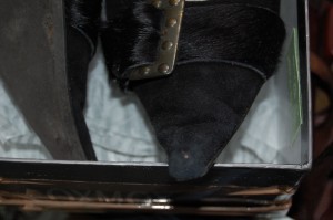 DSC_1316.JPG