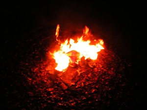 DSCF9020.JPG