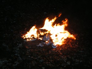 DSCF9028.JPG
