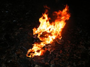 DSCF9029.JPG