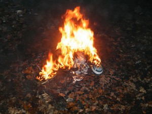 DSCF9030.JPG