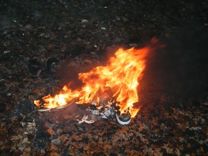 DSCF9031.JPG