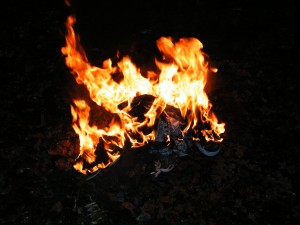 DSCF9032.JPG