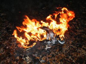 DSCF9033.JPG