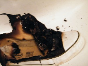 DSCF0006.JPG
