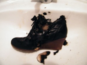 DSCF9048.JPG