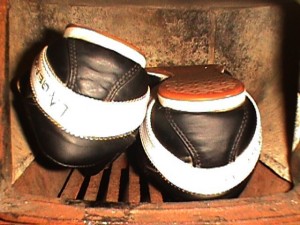 SE55021-08.jpg