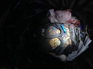 IMG_0383_Original.jpeg