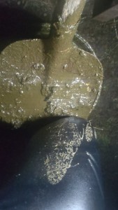 IMG-20250129-WA0018.jpeg