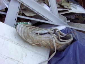 Müllkippe02 022.jpg (75.66 KiB) 10314 mal betrachtet Der dreckige Fußballschuh sieht bald auch so aus.