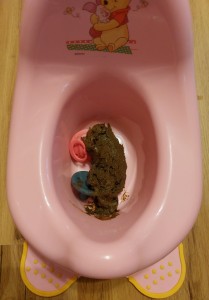 Denn es wurde auch schon nach kurzer Zeit gefüllt und die 2 Schnuller wurden bedeckt mit einer großen Schicht Kacke
