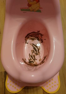 Nur noch das Töpfchen sauber machen