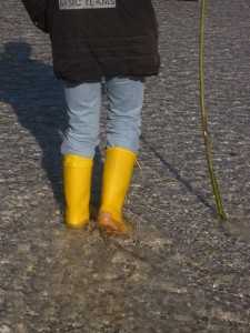 IMG_4747.JPG