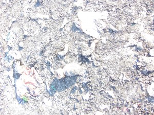 Müllkippe02 052.jpg (1.13 MiB) 9373 mal betrachtet Bild des Grauens: Eine zermalmte Puppe!