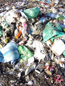 Müllkippe02 056.jpg (359.15 KiB) 9373 mal betrachtet Zumindest für mich ein sehr geiles Foto: zwei Girly-Sneakers und ein Paar !!! adidas-Turnschuhe mit einer ganz besonderen Geschichte!