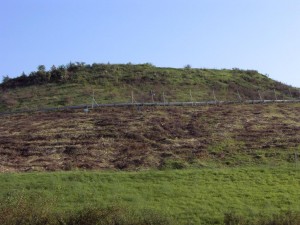 Müllkippe02 057.jpg (128.94 KiB) 9749 mal betrachtet So "harmlos" sieht der Müllberg von der Straße aus!