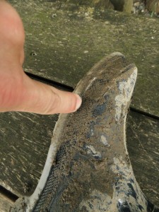 DSCF2115_1.jpg (938.19 KiB) 13585 mal betrachtet Na, genau da ist das Loch!