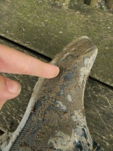 DSCF2116_1.jpg (905.29 KiB) 13760 mal betrachtet Der Druck des Zeigefingers wird erhöht.