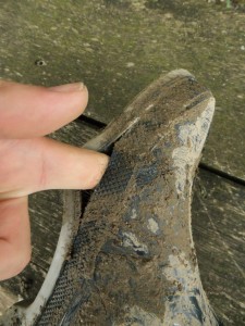 DSCF2117_1.jpg (849.56 KiB) 14290 mal betrachtet Hoppla!! So doll nu auch wieder nicht!