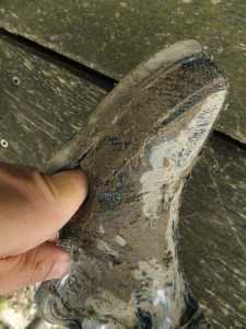 DSCF2118_1.jpg (883.57 KiB) 13724 mal betrachtet Bis zum Anschlag!