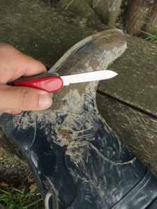 DSCF2121_1.jpg (969.72 KiB) 14295 mal betrachtet Ich hab' da eine Idee, wie die mir passen könnten.