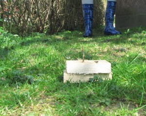 IMG_3730 (2)a.JPG (581.06 KiB) 4693 mal betrachtet IMG_3730 (2)a.JPG