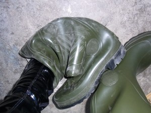 Noch leben diese Nora Comos Gummistiefel. Aber wie lange noch.............!