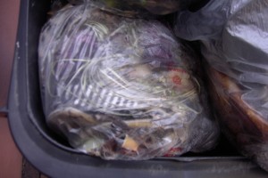 Müll0912 019.jpg (330.91 KiB) 5892 mal betrachtet Kaum noch im Ekeldreck zu erkennen: Lauras weggeschmissene Sommer-Sandaletten und die gestreiften Ballerinas.