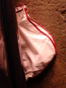 IMG_20121002_145851.jpg