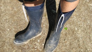 Vor dem Schlammbad.JPG (719.06 KiB) 1947 mal betrachtet Vor dem Schlammbad.JPG