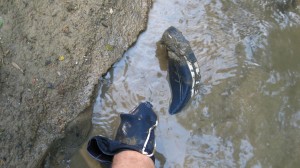 Das Schlammbad beginnt.JPG (415.4 KiB) 1948 mal betrachtet Das Schlammbad beginnt.JPG