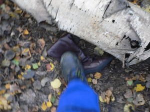 P1080424.JPG (335.34 KiB) 15268 mal betrachtet der wollte nicht so, wie ich