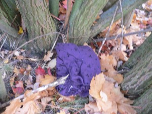 P1080427.JPG (350.73 KiB) 14854 mal betrachtet vorher