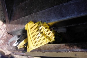 Jetzt waren das offensichtlich nicht mehr die &quot;Schuhe vom Schatz&quot;, sondern nur noch gepresster Müll!