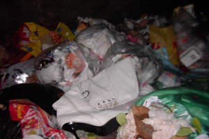 Müll0912 045.jpg (444.07 KiB) 8443 mal betrachtet Mit diesem "Abhang" sah es schon ein wenig aus wie auf einer Müllkippe.