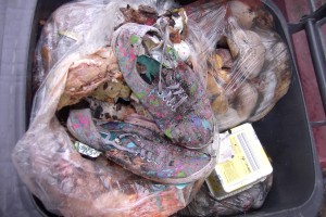 Müll1012 075.jpg (458.51 KiB) 7820 mal betrachtet Schockbilder: So süße Schuhe derart im Müllsiff gedemütigt!