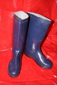 Blaue Gummistiefel harren dessen, was da kommen muß !