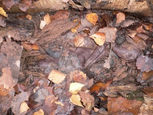 P1080553.JPG (1.46 MiB) 14763 mal betrachtet Stiefel