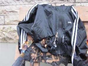 IMG_0060 (Medium).JPG