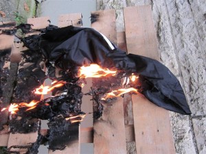 IMG_0065 (Medium).JPG