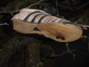 Der Schuhbaum.JPG