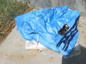 IMG_1174.JPG