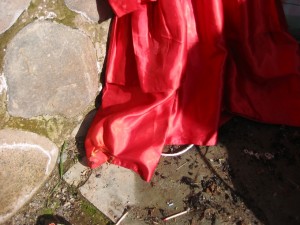 IMG_1223.JPG